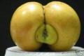 Jokes/Fun apple ass