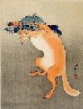 Animals/Insects kitsune