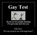 Jokes/Fun gay test