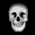 Avatars Skull